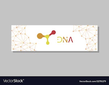 Molecular structure with connected lines and dots vector image