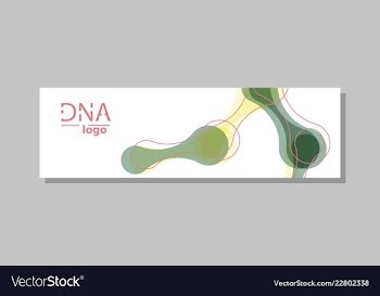 Molecular structure with connected lines and dots vector image