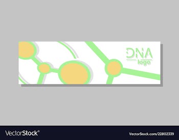 Molecular structure with connected lines and dots vector image