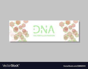 Molecular structure with connected lines and dots vector image