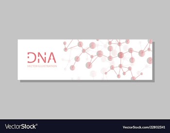 Molecular structure with connected lines and dots vector image