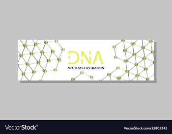 Molecular structure with connected lines and dots vector image