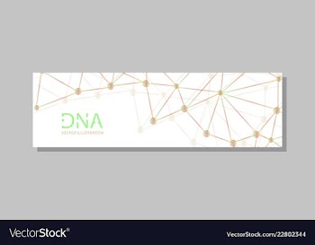 Molecular structure with connected lines and dots vector image
