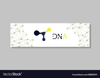 Molecular structure with connected lines and dots vector image