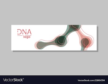Molecular structure with connected lines and dots vector image