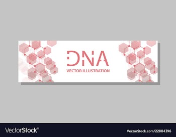 Molecular structure with connected lines and dots vector image
