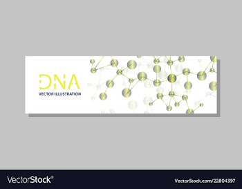 Molecular structure with connected lines and dots vector image