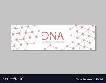 Molecular structure with connected lines and dots vector image