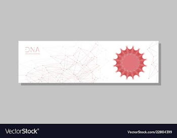 Molecular structure with connected lines and dots vector image