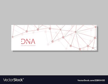 Molecular structure with connected lines and dots vector image