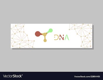 Molecular structure with connected lines and dots vector image