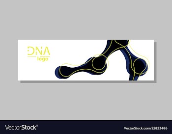 Molecular structure with connected lines and dots vector image