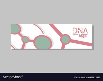 Molecular structure with connected lines and dots vector image
