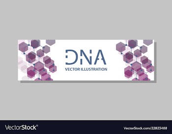 Molecular structure with connected lines and dots vector image