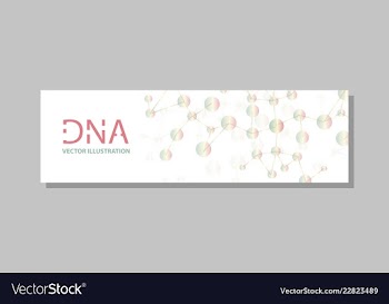 Molecular structure with connected lines and dots vector image