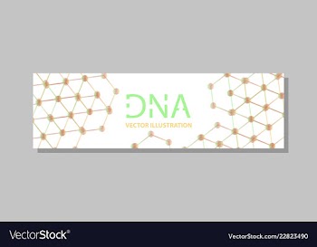 Molecular structure with connected lines and dots vector image