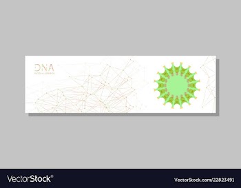 Molecular structure with connected lines and dots vector image