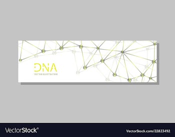 Molecular structure with connected lines and dots vector image