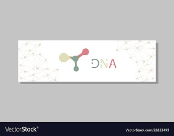 Molecular structure with connected lines and dots vector image