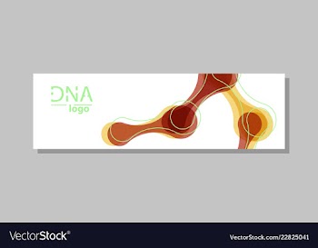 Molecular structure with connected lines and dots vector image