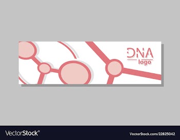 Molecular structure with connected lines and dots vector image