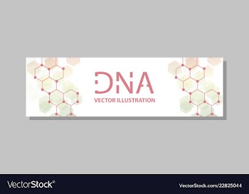 Molecular structure with connected lines and dots vector image