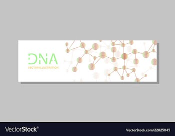 Molecular structure with connected lines and dots vector image