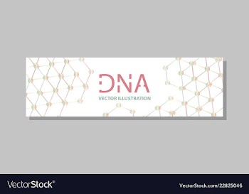 Molecular structure with connected lines and dots vector image