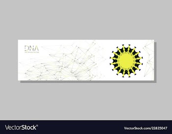 Molecular structure with connected lines and dots vector image
