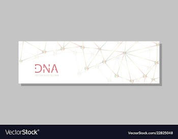 Molecular structure with connected lines and dots vector image