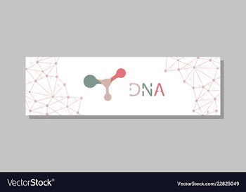 Molecular structure with connected lines and dots vector image