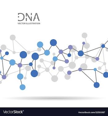 Molecules concept of neurons and nervous system vector image