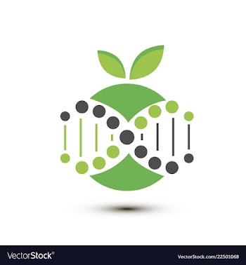 Molecules concept of neurons and nervous system vector image