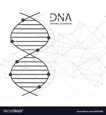 Molecules concept of neurons and nervous system vector image