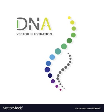 Molecules concept of neurons and nervous system vector image