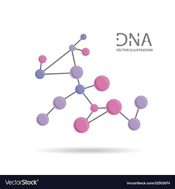 Molecules concept of neurons and nervous system vector image