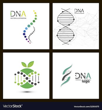 Molecules concept of neurons and nervous system vector image