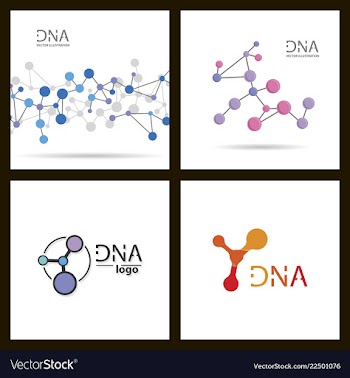 Molecules concept of neurons and nervous system vector image