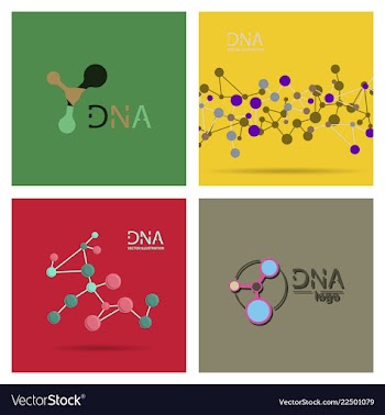 Molecules concept of neurons and nervous system vector image