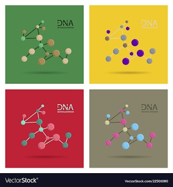 Molecules concept of neurons and nervous system vector image