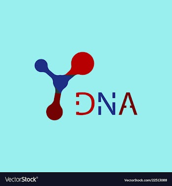 Molecules concept of neurons and nervous system vector image