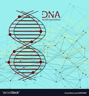 Molecules concept of neurons and nervous system vector image