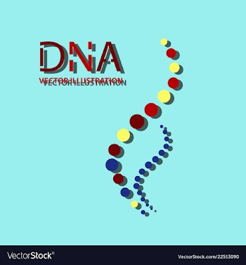 Molecules concept of neurons and nervous system vector image