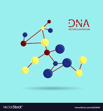 Molecules concept of neurons and nervous system vector image