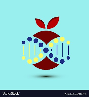 Molecules concept of neurons and nervous system vector image