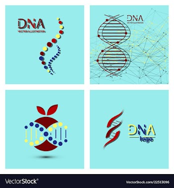 Molecules concept of neurons and nervous system vector image