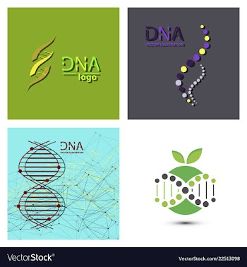 Molecules concept of neurons and nervous system vector image