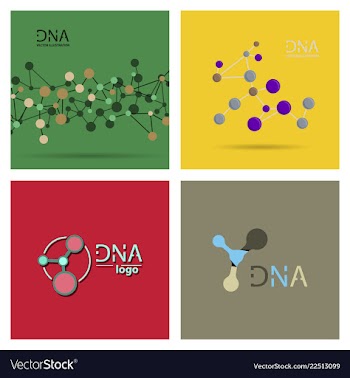 Molecules concept of neurons and nervous system vector image