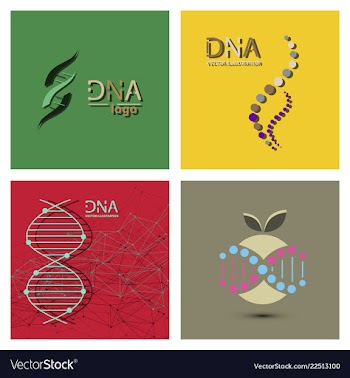 Molecules concept of neurons and nervous system vector image