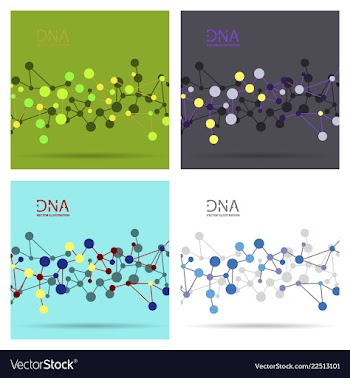 Molecules concept of neurons and nervous system vector image